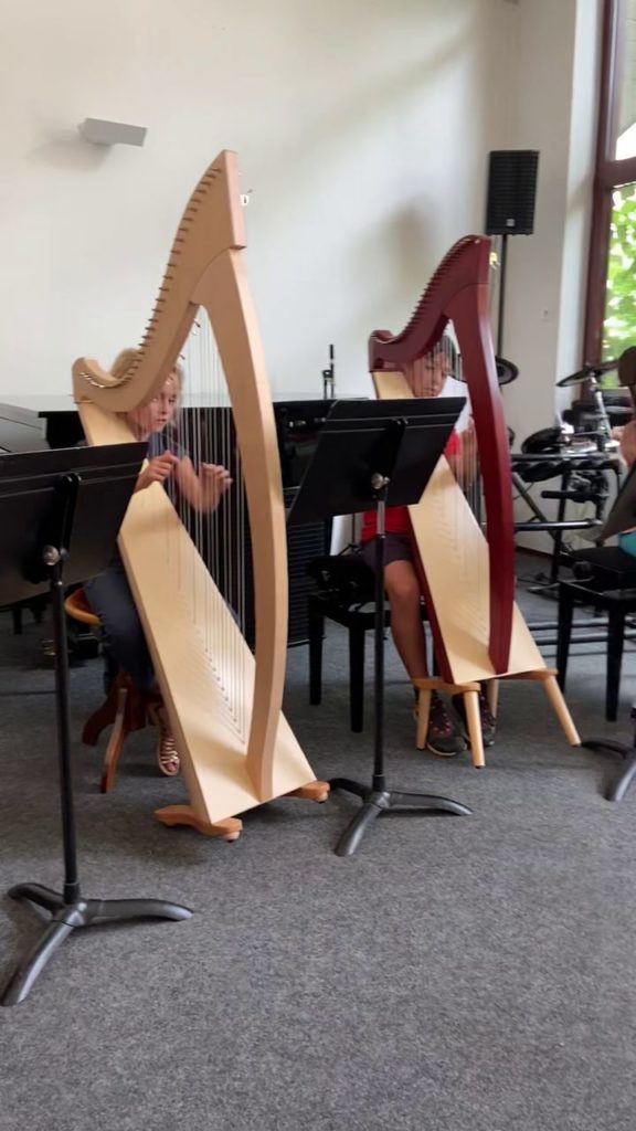 Prestation Harpe 1